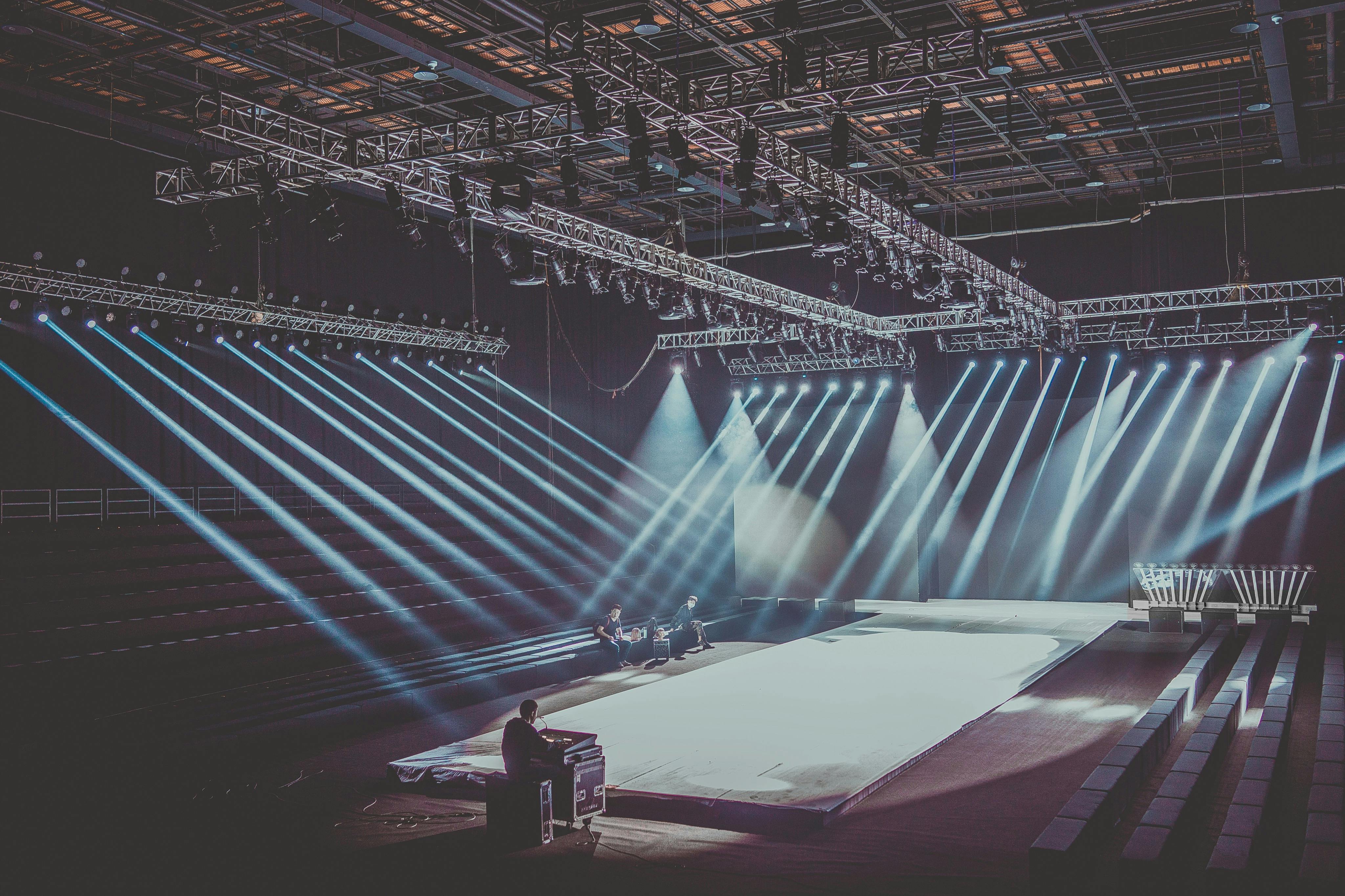 Professional entertainment consulting